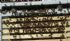 Six Frame Nuc Of British Bees 2016